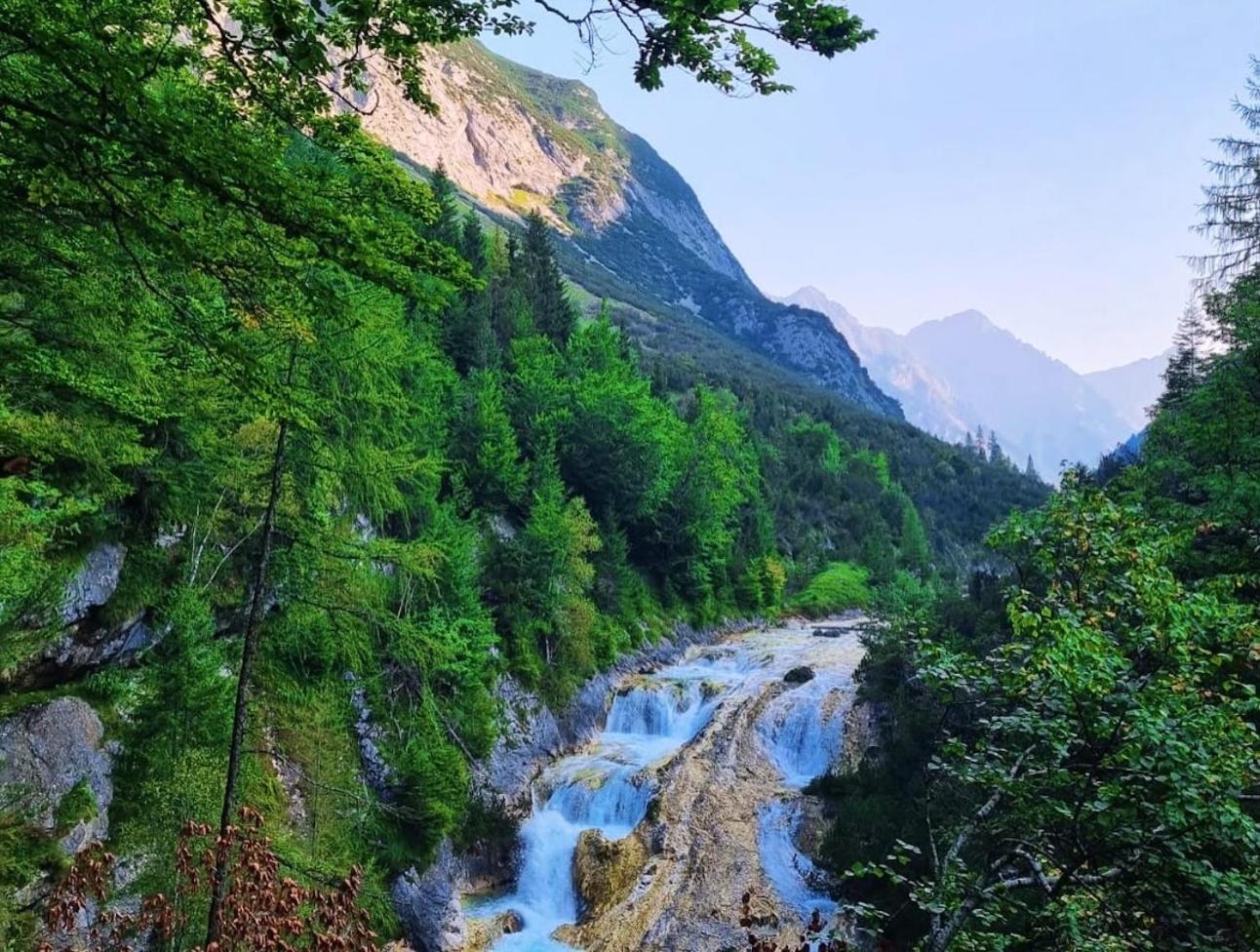 Mountain Apart Katzenkopf لوتاش المظهر الخارجي الصورة